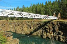 Arctic Day: Hiking Tour | half day
