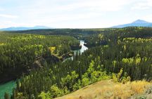 Arctic Day: Hiking Tour | half day