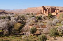 The Magical experience of Erg Chebbi