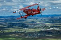 Sydney Harbour Joy Flight in the Pitts Special 
