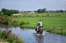 Buffalo Riding, Basket Boat Tour And Cooking Class