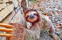 8 Day - San Jose - Arenal Volcano - Manuel Antonio Beach