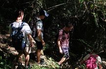 Small Group : Trekking Trip in Chiang Mai (Doi Suthep Area) with Market Tour