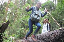 Small Group : Trekking Trip in Chiang Mai (Doi Suthep Area) with Market Tour