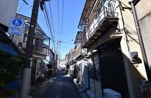 Tokyo Photogenic spots visiting tour 