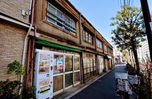 Tokyo Photogenic spots visiting tour 
