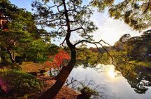 Tokyo Photogenic spots visiting tour 