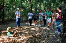 Ho Chi Minh City: Half-day Underground Secrets Of Cu Chi