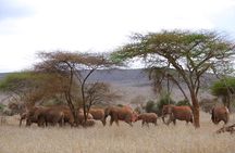 2-Day Taita Hills Wildlife Sanctuary & Tsavo East Safari -Mombasa