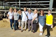Paestum Orientation Tour 