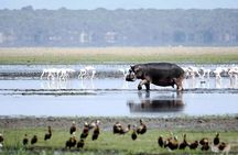 St Lucia Isimangaliso Boat Safari Day Tour from Durban 