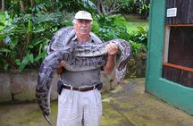 Phezulu Cultural Village & Reptile Park Day Tour from Durban