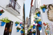 Mosque-Cathedral, Alcazar & Jewish Quarter with Tickets 