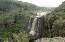 Private Day Trip to Debre Libanos Portuguese Bridge Galada Baboon