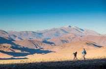 San Antonio de los Cobres: Day Venture from Salta