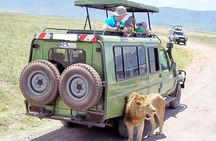 Half Day Nairobi National Park Guided Tour From Nairobi