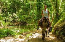 Samana Experience Day Trip