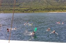 Sailing day trip on Tall Ship Andrea Jensen with Lunch and Wine