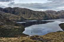 Sailing Experience at Beagle Channel on a Catamaran