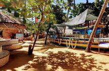 North Beach Praia do Forte and Guarajuba Tour