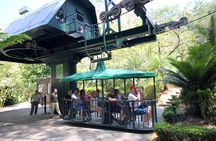 Rainforest Aerial Tram