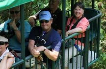 Rainforest Aerial Tram