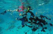 Bora Bora Private Lagoon Tours