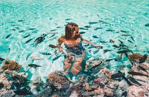Bora Bora Snorkel Cruise by Polynesian Outrigger Canoe with BBQ Island Lunch 