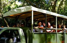 Kualoa Ranch: Jungle Expedition Tour 