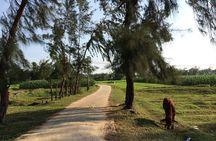 Hoi An Countryside bike tour to Kim Bong village