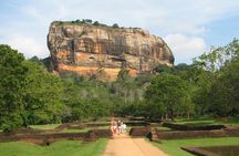 Sigiriya Rock and Dambulla Cave Temples from Negombo (All inclusive day tour)