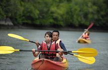 Langkawi Adventure Tour : Mangrove Kayaking with Private Pickup