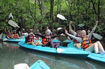 Langkawi Adventure Tour : Mangrove Kayaking with Private Pickup