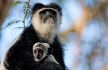 Naivasha Elsamere conservation and Hells Gate Tour From Nairobi