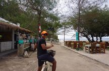 Gili Trawangan Island Day trip from Bali 