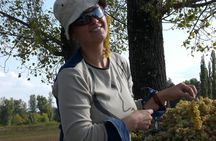 2-Day Private Wine Tour to Kakheti from Tbilisi