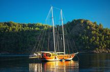 Private Daily Boat Tour ! 
