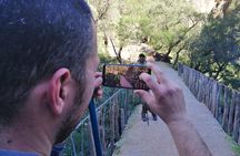 Excursion to Akchour's bridge of god (From Chefchaouen)