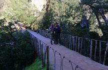 Excursion to Akchour's bridge of god (From Chefchaouen)