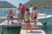 Ston Oysters & Wine Tasting Tour from Dubrovnik