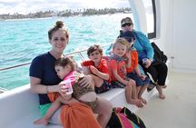 Private Caribbean Snorkeling Cruise At Punta Cana & Sharks, Stingray Encounter 