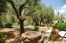 Jerusalem Tour from Tel Aviv: In the Footsteps of Jesus