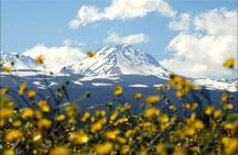 Private tour to Aragats-Lake Kari - Armenian Alphabet Monument - Amberd fortress
