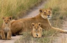 Day Tour Nairobi National Park