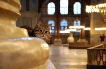 Istanbul Highlights: Half Day Morning Tour