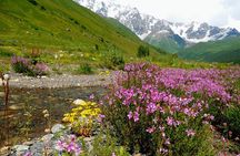 6-Day Tour to Georgia from Tbilisi. Cultural Heritage 