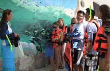 Sea Turtle Snorkeling Ecofriendly Tour from Cancun & Riviera Maya