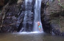 Horto Waterfalls Circuit Adventure Tour in Tijuca National Park