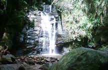 Horto Waterfalls Circuit Adventure Tour in Tijuca National Park