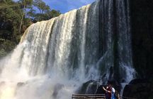Day Trip to the Argentinian Side of Iguassu Falls from Foz do Iguaçu